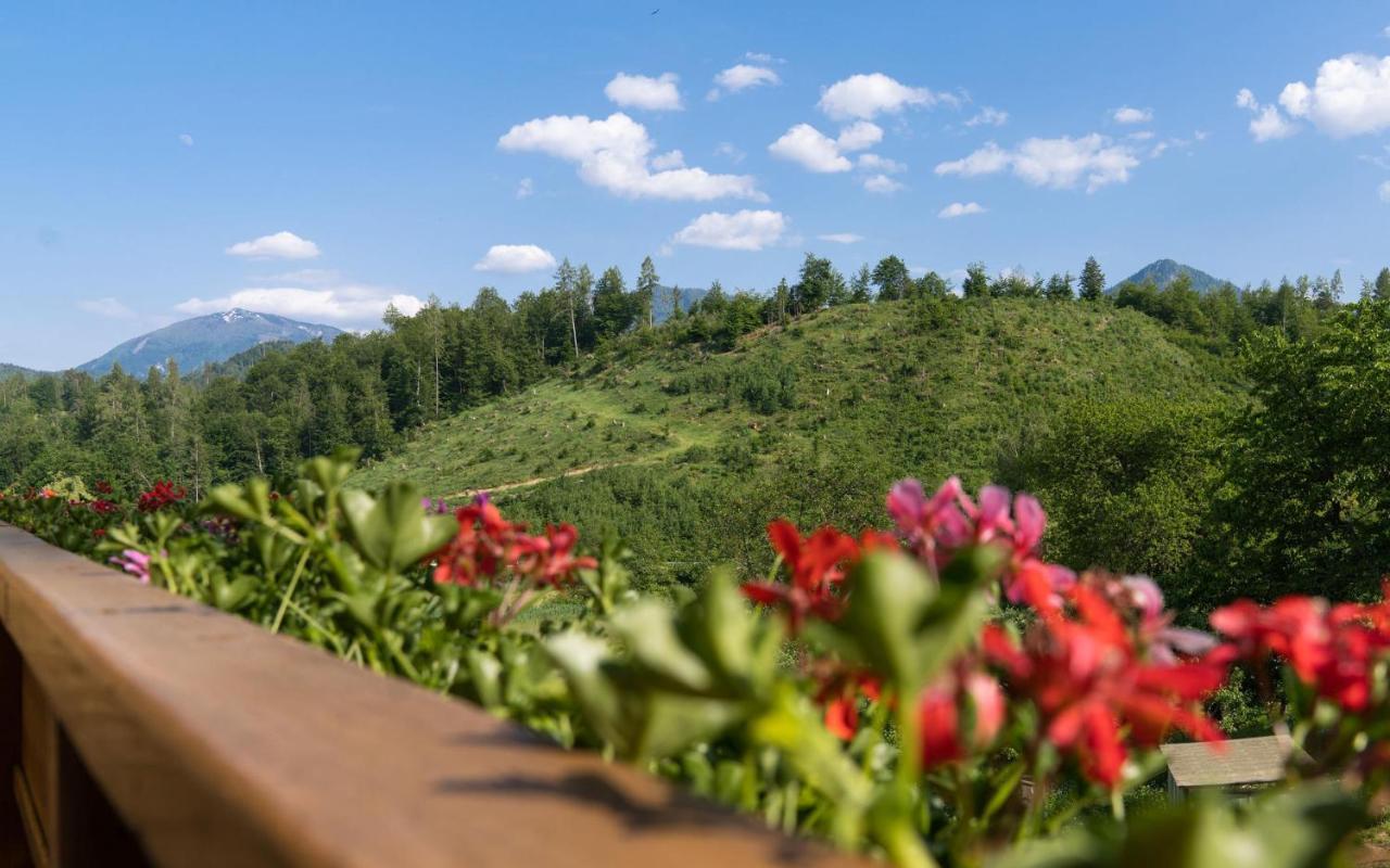 B&B Goesselsdorfer Seeblick Sittersdorf Kültér fotó